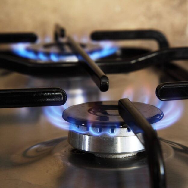 Natural Gas Stove Burner